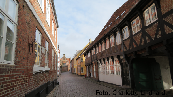 Ribe havde en særlig status, fordi byen siden 1200-tallet, bortset fra nogle omtumlede år 1330-1375, havde været dansk kongerigsk enklave. Derfor forblev Ribe syd for Kongeåen dansk. Foto: Charlotte Lindhardt.
